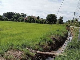 For sale land in San Pa Tong, Chiang Mai