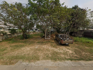 For sale land in San Sai, Chiang Mai