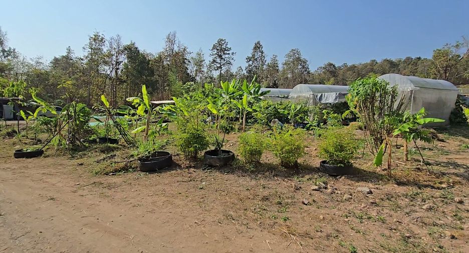 Terreno en venta en San Sai, Chiang Mai
