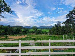 出售 土地 在 San Sai, Chiang Mai