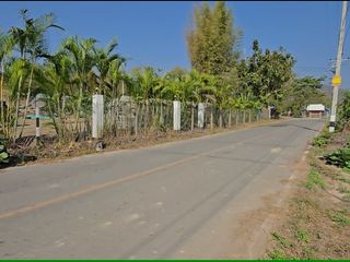 出售 土地 在 San Sai, Chiang Mai