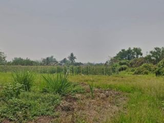 For sale land in San Pa Tong, Chiang Mai