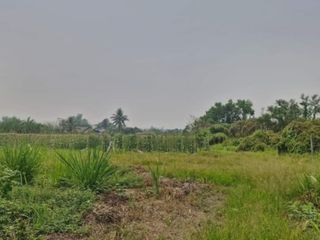 For sale land in San Pa Tong, Chiang Mai
