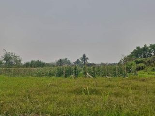 For sale land in San Pa Tong, Chiang Mai
