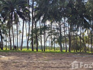 For sale land in Bang Saphan Noi, Prachuap Khiri Khan