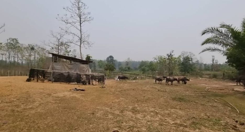 Terreno en venta en Mae Taeng, Chiang Mai