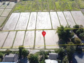 出售 土地 在 San Kamphaeng, Chiang Mai