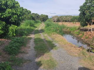 For sale land in San Pa Tong, Chiang Mai