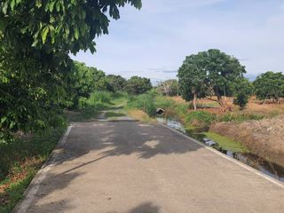 For sale land in San Pa Tong, Chiang Mai