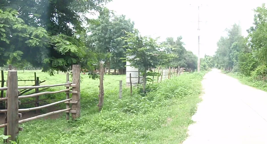 Terreno en venta en Mueang Tak, Tak