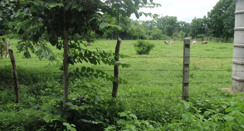 Terreno en venta en Mueang Tak, Tak