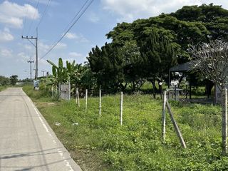 For sale land in Hang Dong, Chiang Mai