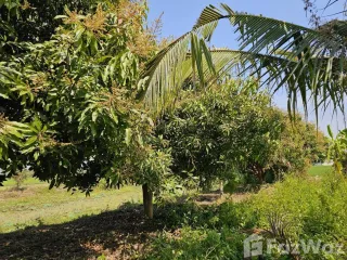 For sale land in Mueang Phitsanulok, Phitsanulok