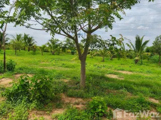 For sale land in Mueang Phitsanulok, Phitsanulok