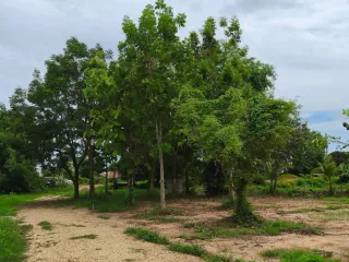 For sale land in Mueang Phitsanulok, Phitsanulok