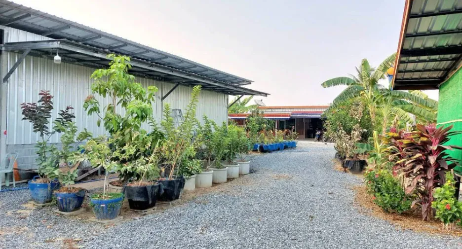 For sale land in Nong Ya Sai, Suphan Buri
