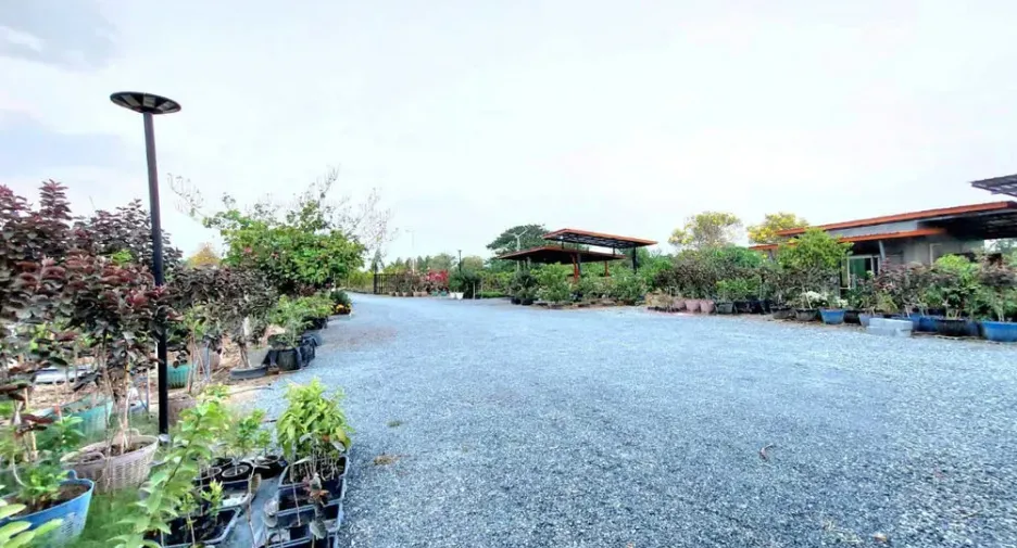 For sale land in Nong Ya Sai, Suphan Buri