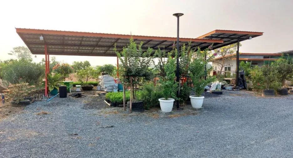 For sale land in Nong Ya Sai, Suphan Buri