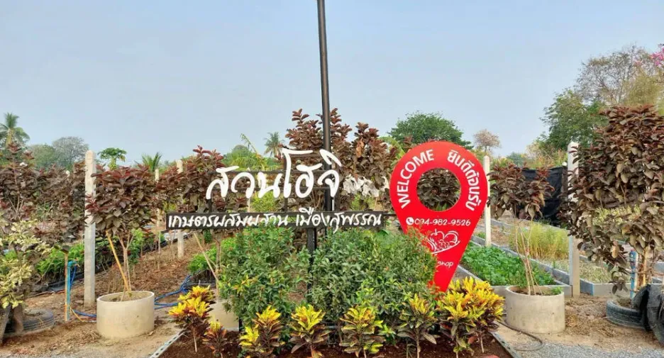 For sale land in Nong Ya Sai, Suphan Buri