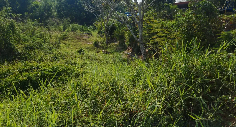 À vendre terrain à Mueang Prachinburi, Prachin Buri