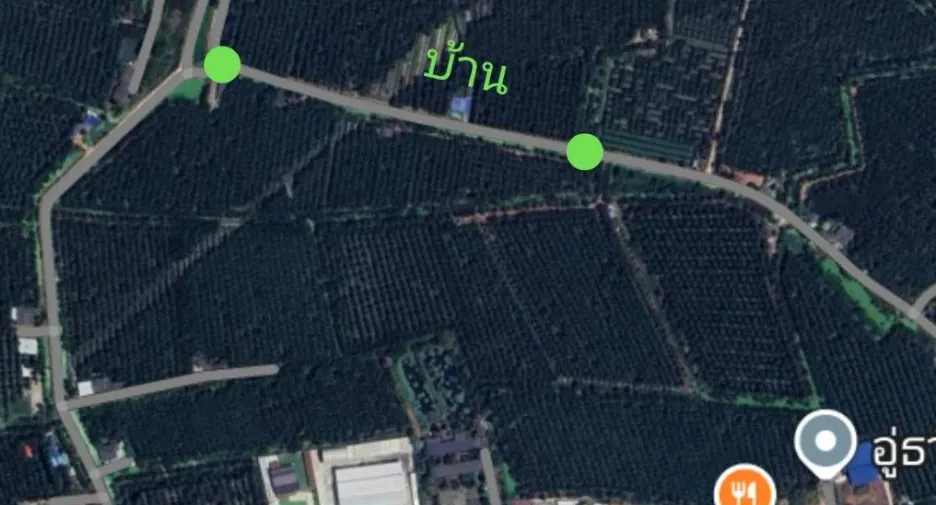出售 土地 在 Damnoen Saduak, Ratchaburi
