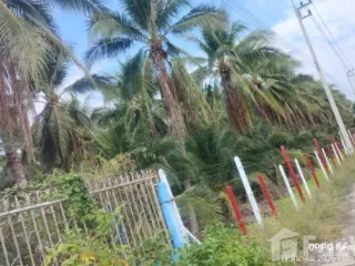 ขาย ที่ดิน ใน ดำเนินสะดวก, ราชบุรี