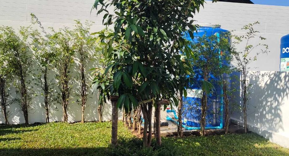 For rent 2 bedrooms townhouse in Thalang, Phuket