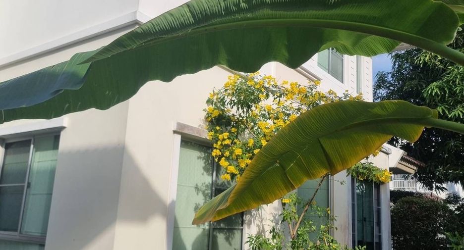 For sale 3 bedrooms house in Phasi Charoen, Bangkok