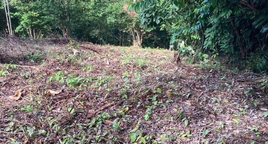 For sale land in Thalang, Phuket