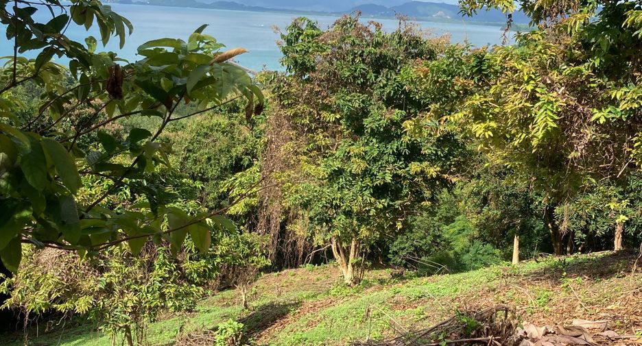 For sale land in Thalang, Phuket