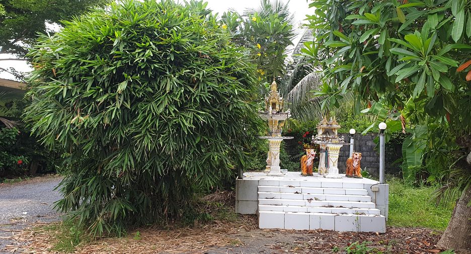 À vendre terrain à Mueang Phangnga, Phang Nga