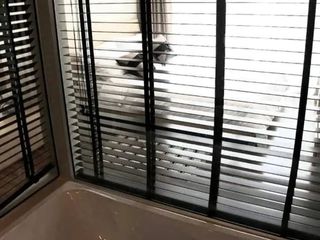 Condo en alquiler de 1 habitaciones en Khlong Toei, Bangkok