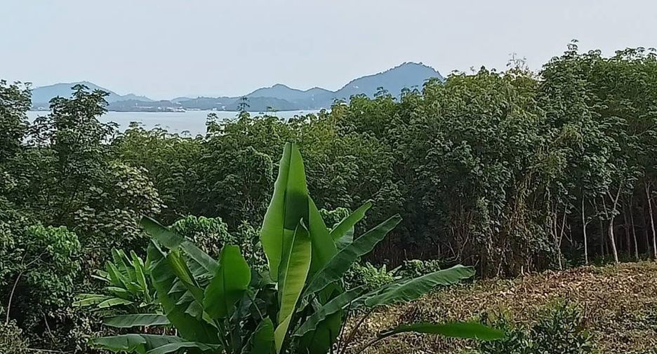 For sale land in Mueang Phuket, Phuket
