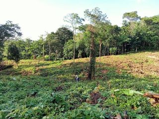À vendre terrain à Mueang Phuket, Phuket