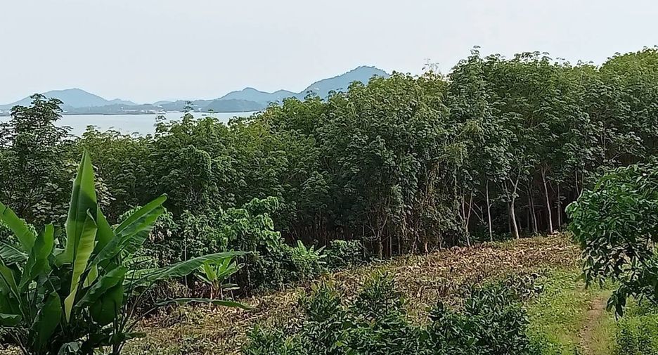 For sale land in Mueang Phuket, Phuket