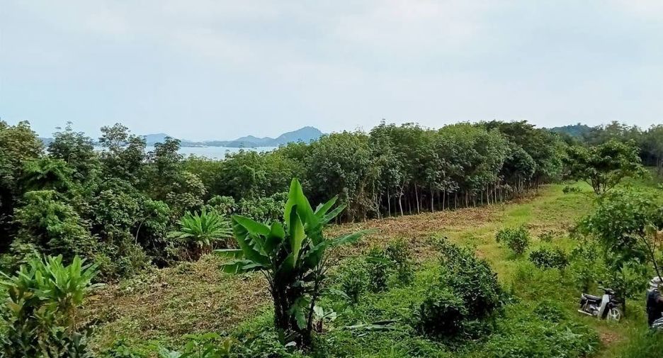 For sale land in Mueang Phuket, Phuket