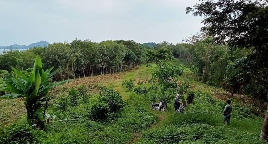 For sale land in Mueang Phuket, Phuket