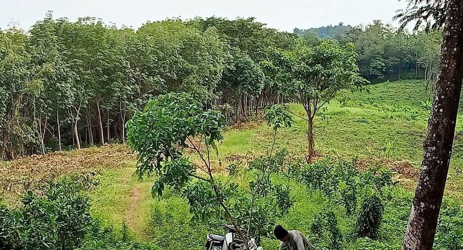 For sale land in Mueang Phuket, Phuket