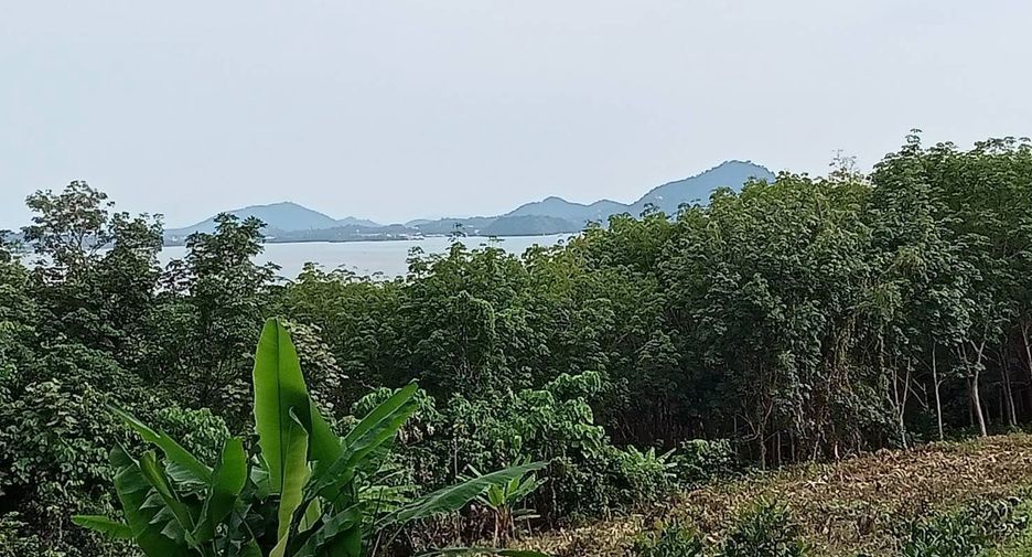 For sale land in Mueang Phuket, Phuket