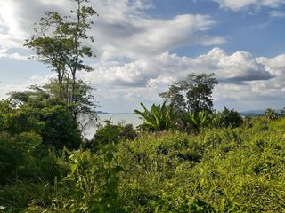 For sale land in Takua Thung, Phang Nga