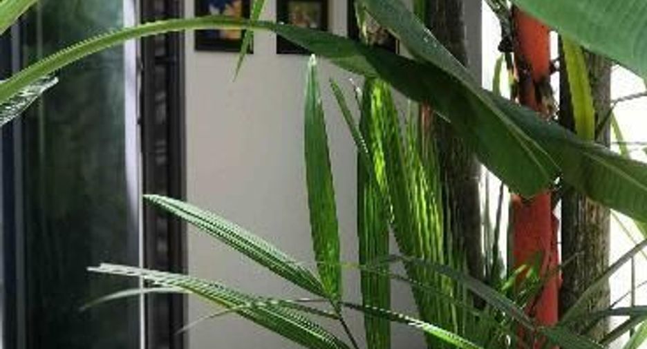 For rent 2 bedrooms condo in Thalang, Phuket