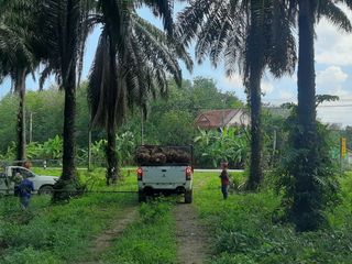 For sale land in Mueang Krabi, Krabi