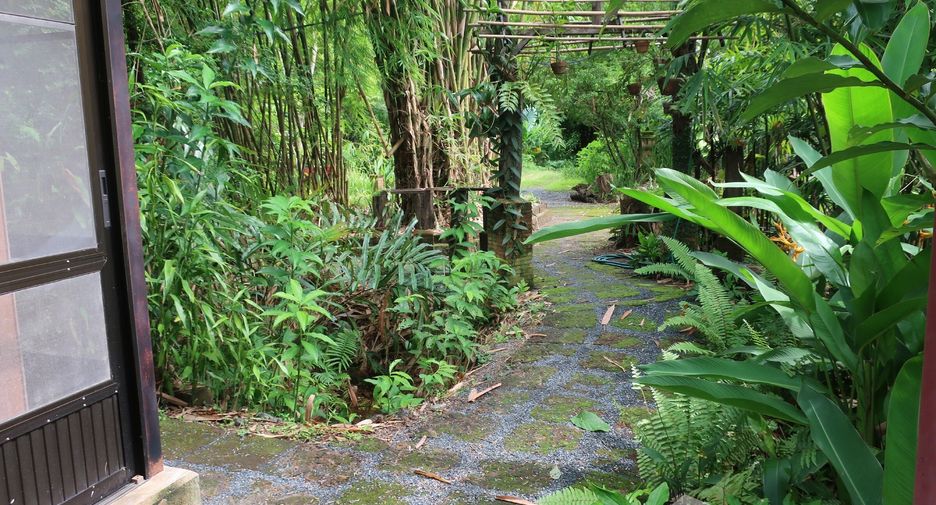 For rent 1 bed house in Doi Saket, Chiang Mai