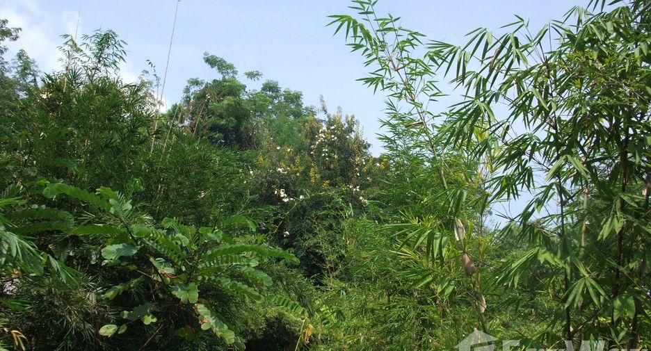 For rent 1 bed house in Doi Saket, Chiang Mai