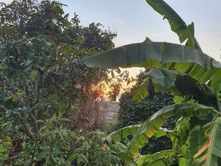 For sale land in Kathu, Phuket