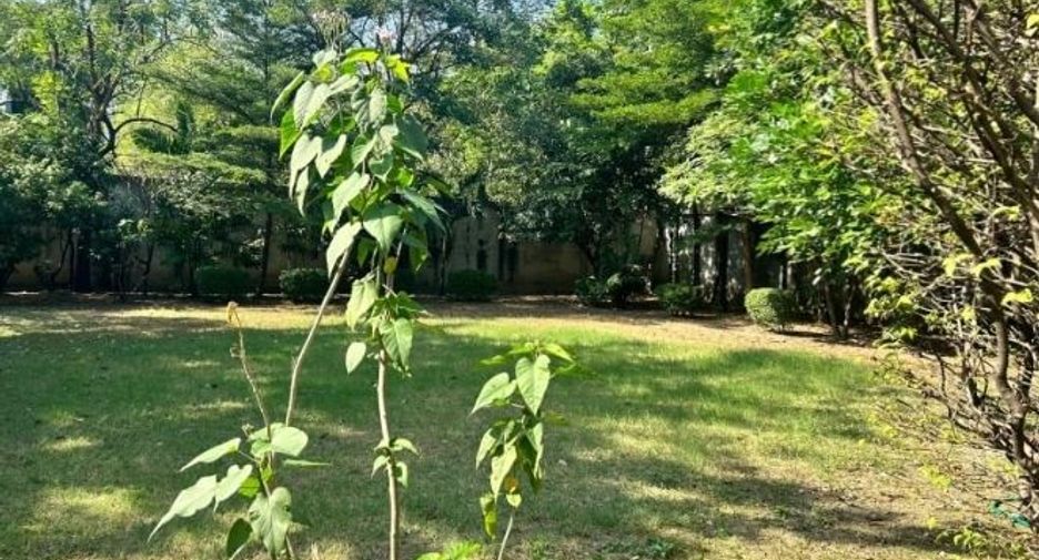 ขาย 3 ห้องนอน บ้านเดี่ยว ใน วัฒนา, กรุงเทพฯ