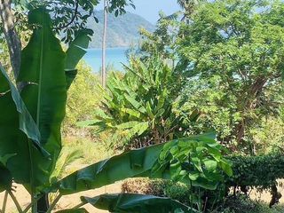 For sale land in Mueang Phuket, Phuket