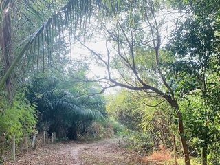 For sale land in Mueang Phuket, Phuket