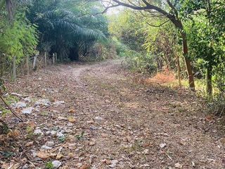 For sale land in Mueang Phuket, Phuket