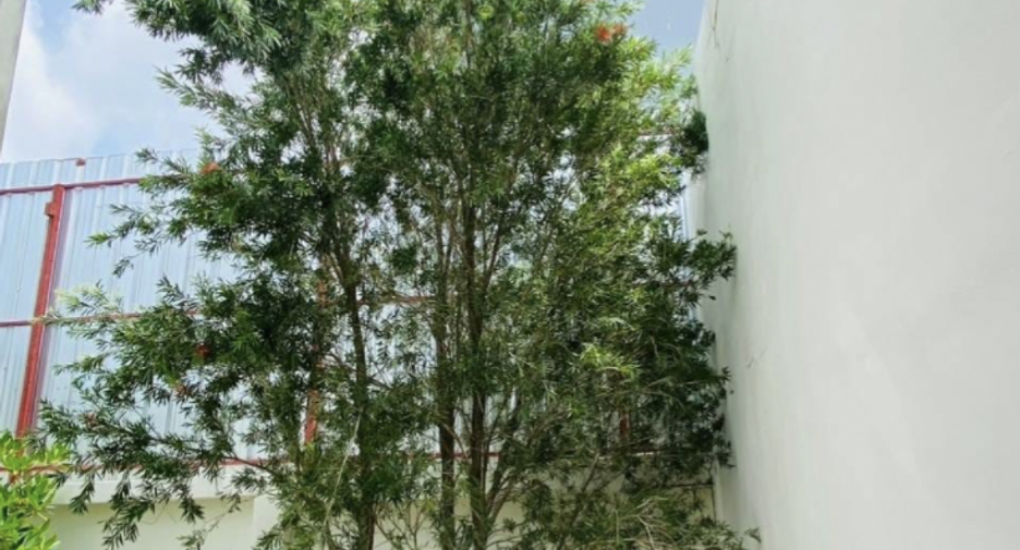 出售 3 卧室 独立屋 在 Phuket Town, 普吉